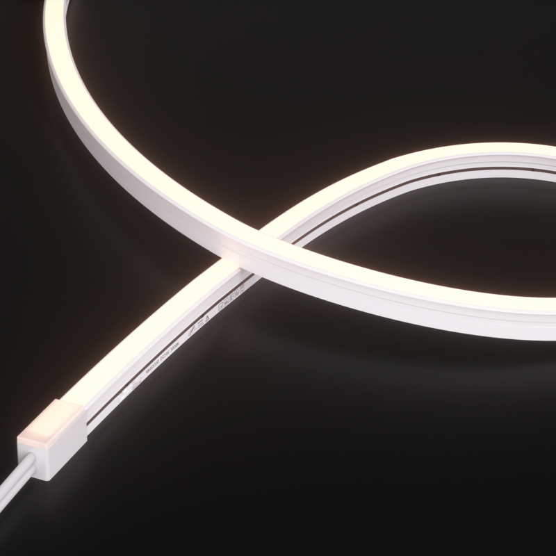 NMS1010T-White light-24V